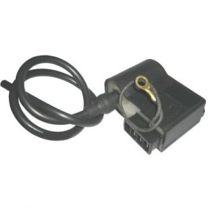 Bobina Cdi Aprilia-Beta-Fantic Malaguti-Minarelli-F.Morini